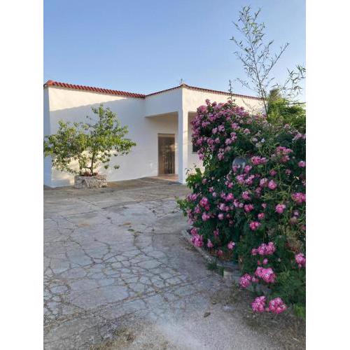 Casa Domitia