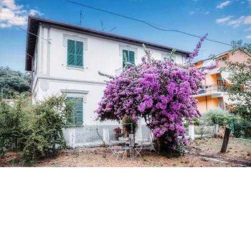 Casa elegante in mezzo al verde