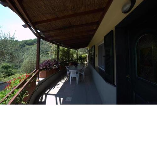 Casa Elena
