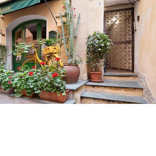Casa Elena