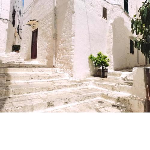 Casa Elia