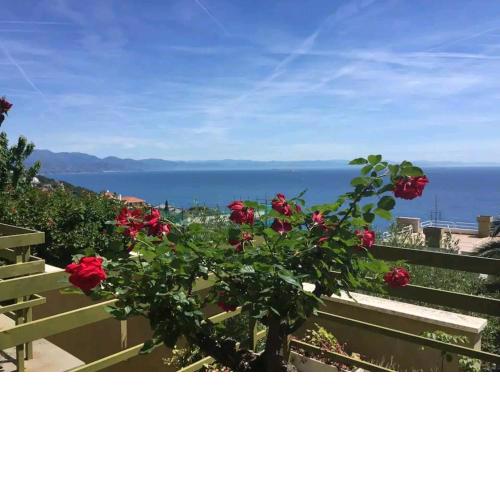 Casa Erice