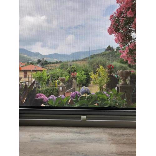 CASA GAIA - Limoncello
