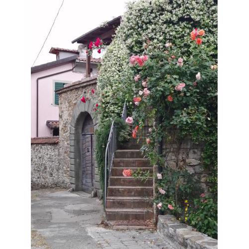 Casa gelsomino