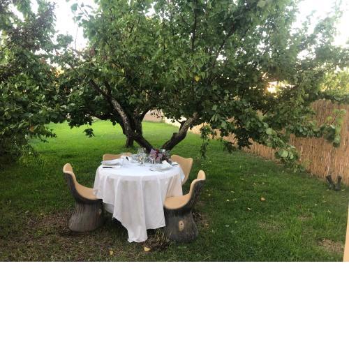 Casa giardino santadi