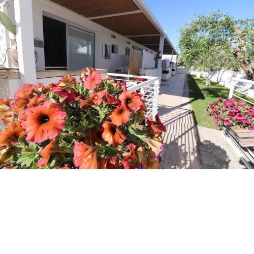 Casa Ginevra Lu Mare a Otranto