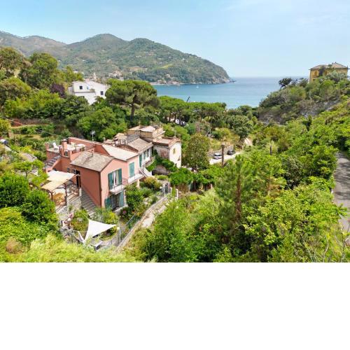 Casa glicine sul mare