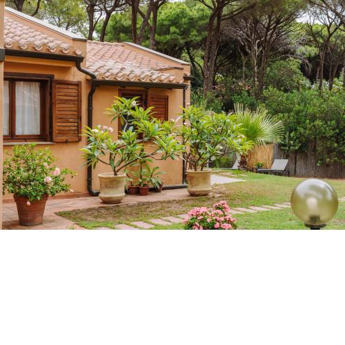 Casa Helichrysum
