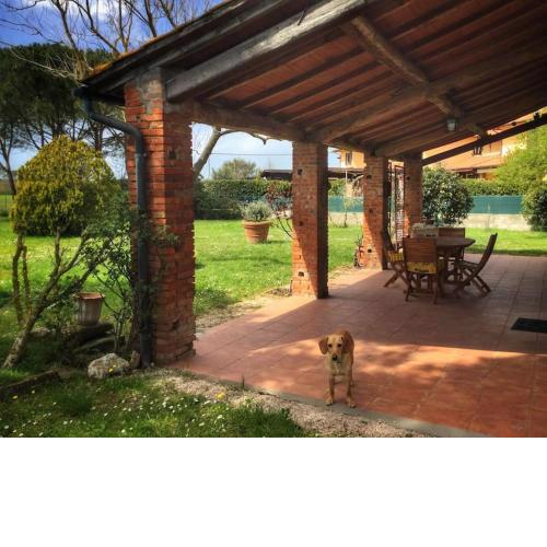 CASA INDIPENDENTE con giardino