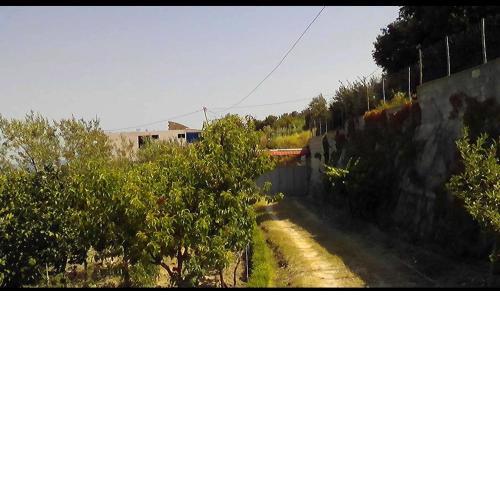 Casa indipendente vacanza