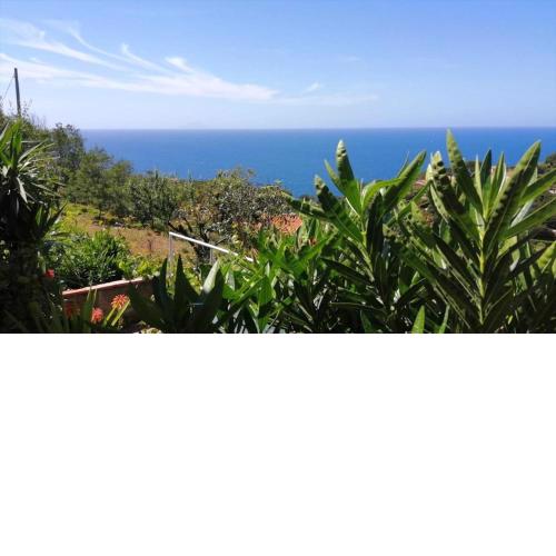 Casa Innamorata - Goelba