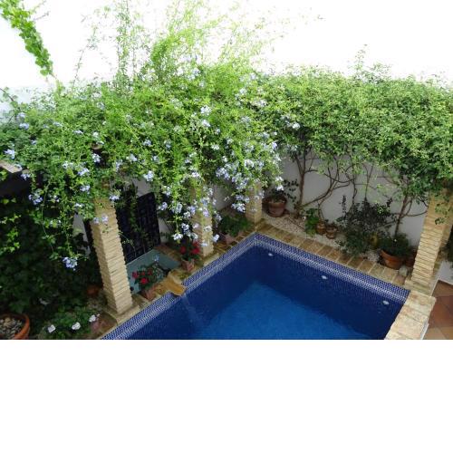 Casa la Loba