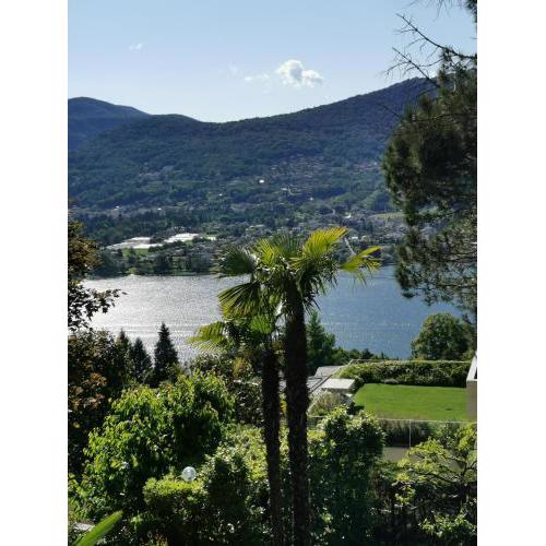 Casa le palme -Montagnola