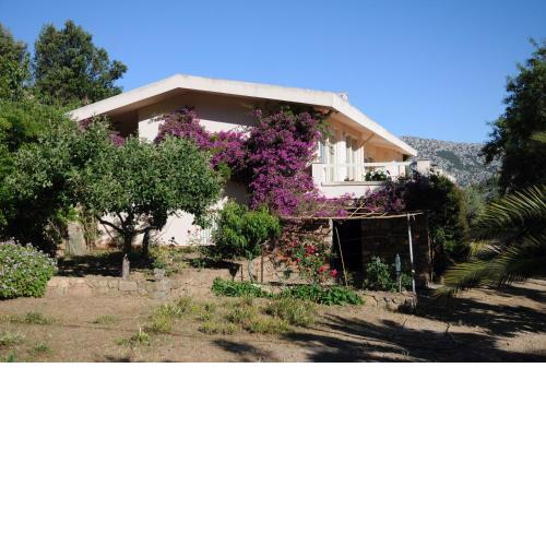 Casa Le Vigne