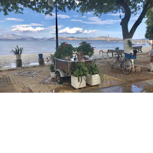 CASA LELA 3...HYDRA