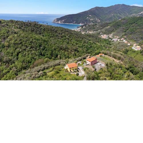 Casa Levi