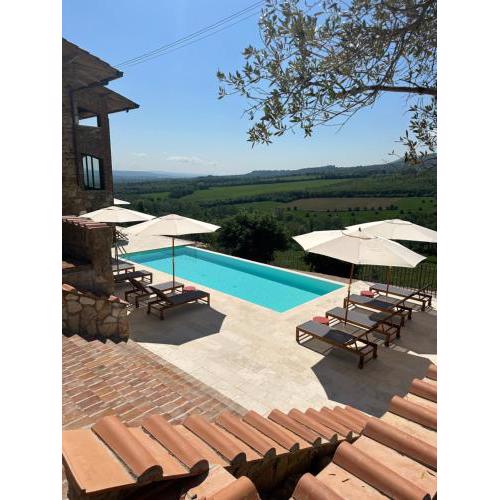 Casa M Vineyard
