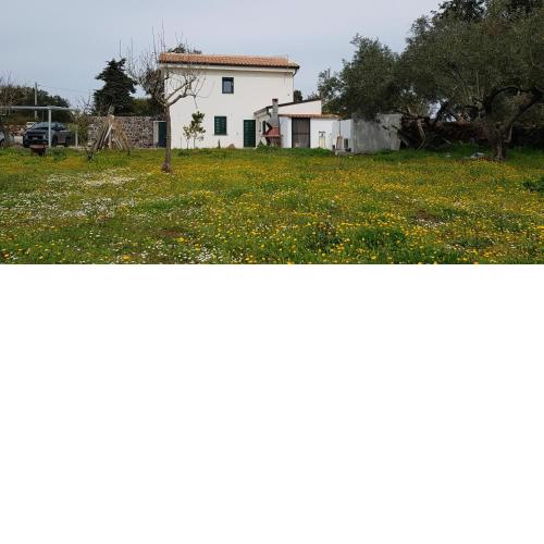 Casa Matilda - Abbasanta - Sardegna