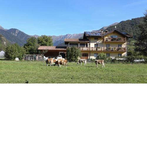 Casa Meri