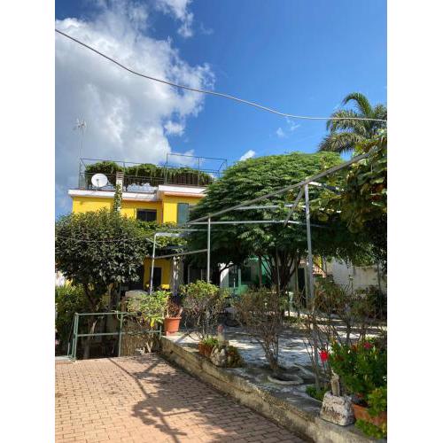CASA MIMOSA: relax, vista mare, parcheggio gratis