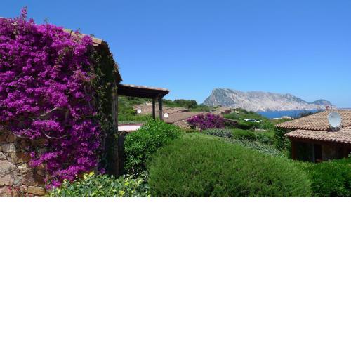 Casa Molara