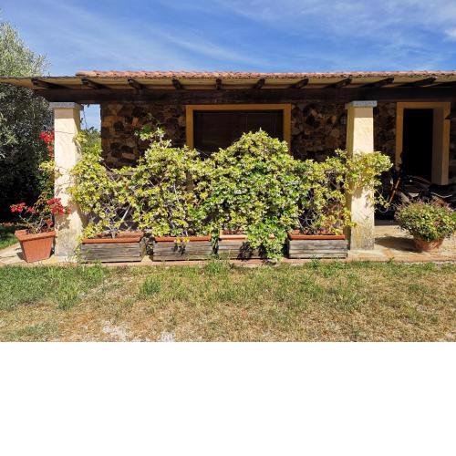 Casa Monique a Capoliveri - Goelba