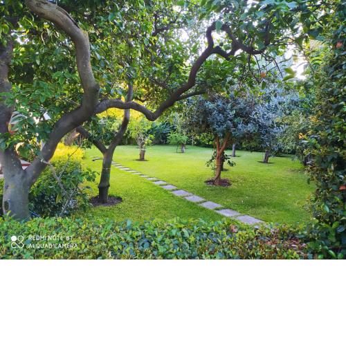 Casa natura e relax