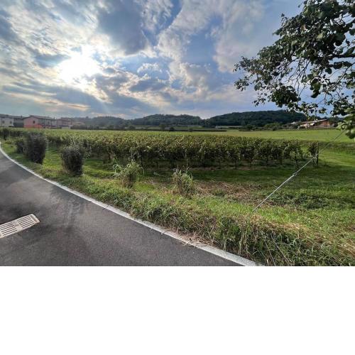 Casa nella Vigna [Appartamento in Franciacorta]