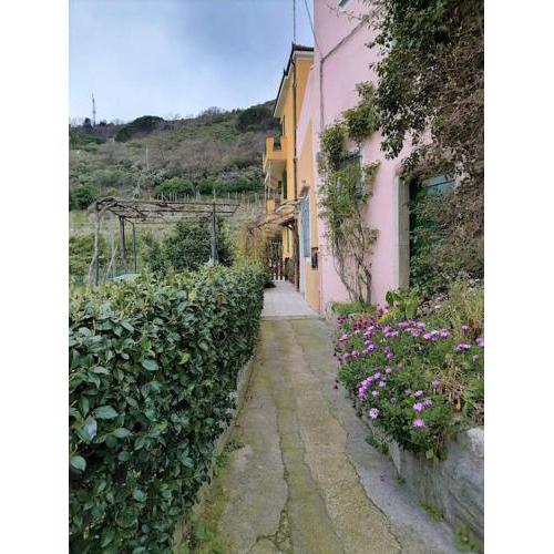 Casa Ninetta, tra mare e natura.