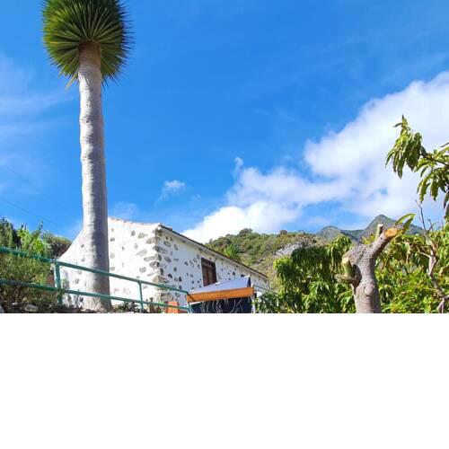 Casa Noah