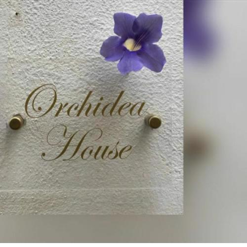 Casa Orchidea