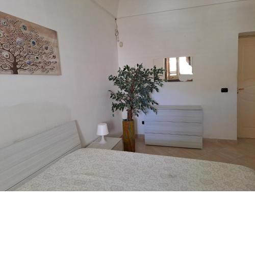 Casa Ortigia