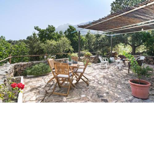 Casa ortu
