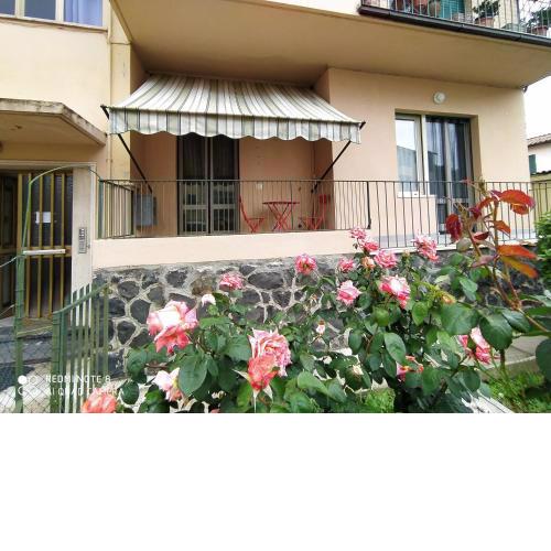 casa Palmira