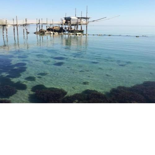 Casa Patrizia Costa Trabocchi