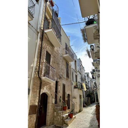 Casa PETRA