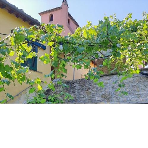 Casa Pietraia