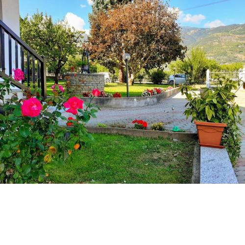 Casa relax da amare