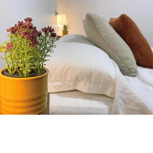 Casa Romea - WelcHome