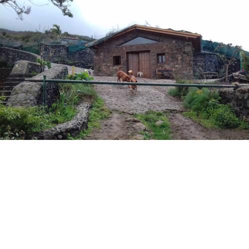 Casa rural y fincaTenerife Relax And Enjoy