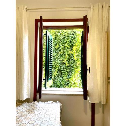 Casa Sandra 1 Mini