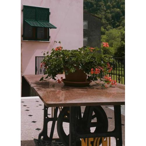 CASA SILVANA