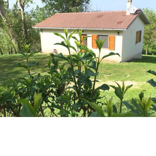 Casa singola immersa nel verde