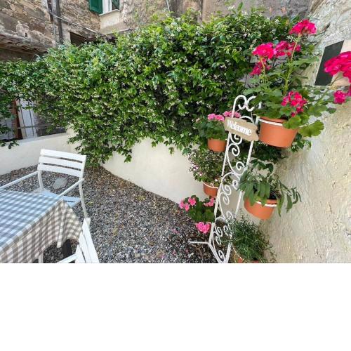 Casa Sole Luna CITRA 008031-LT-1211