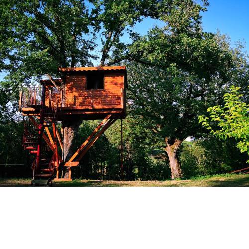 Casa sull'albero Bocchineri
