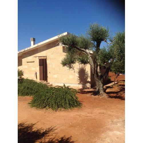 Casa Ulivo