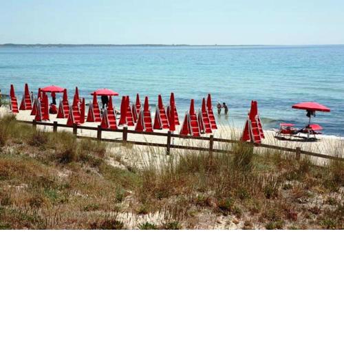 Casa Vacanza Alba 8-10 posti letto