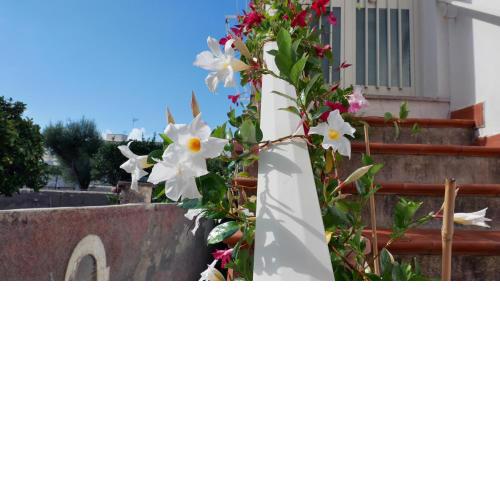 Casa Vacanza Anacapri Sunrise
