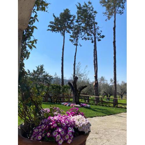 Casa Vacanza Capozzoli