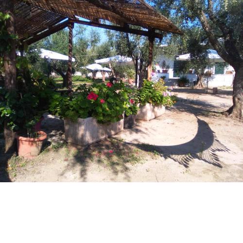 Casa Vacanza Fiorella